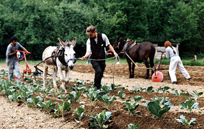 ploughing