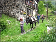 tour at the Carol village