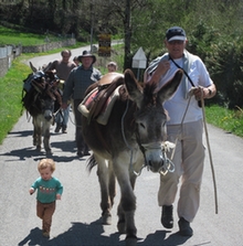 balade en ane sur le chemin de muletier