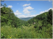 scenery of the Arac valley