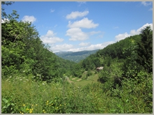 Landschaft des Tals Arac in Ariege