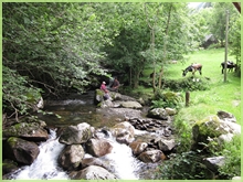 picnic at the Arac stream