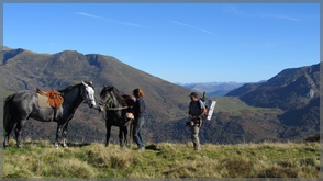  Panorama-Wanderung mit Eseln oder Pferden in Frankreich