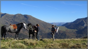 rando panorama en âne ou cheval