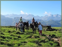 Vue sur les Pyrénées