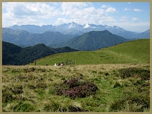 Eseltrek mit Ausblick auf die hohen Gipfel der Pyrenäen