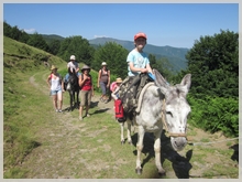 trek with donkeys and children