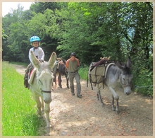 trek with donkey around Massat