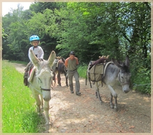 Wandern mit Eseln in den Pyrenäen