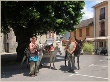 Die Esel auf dem Dorfplatz von Biert