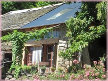 guestroom under chestnut tree